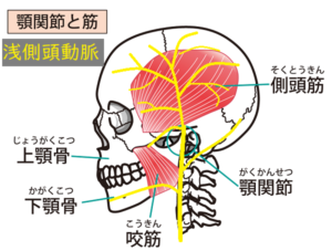 頭痛の原因