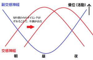 自律神経の切り替わり
